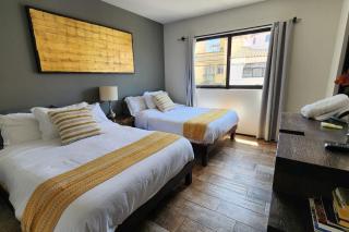 Mateo place ideal for your next visit to San Miguel - San Miguel de Allende - 8