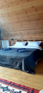 Kazbegi Cottage Memo - Kasbegi - 9