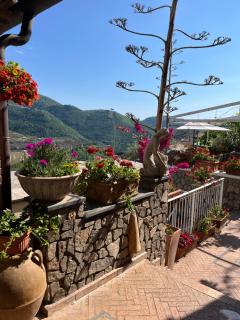 Hill Valley View - Vico Equense - 5