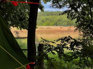 Baumzelt auf Bio-Bauernhof im Natur- und Sternenpark - - 4