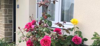 Chambre d'hôte "Les Roses de Séné" - Séné - 8