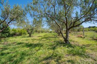 Villa Mare with pool - Nadin - 1