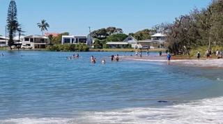 Puppies&Pancakes at Innes Park Opp Park&Beach Dogs welcome inside - Pemberton - 0