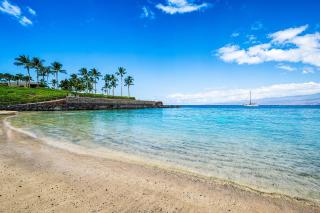 Palm Villas at Mauna Lani I23 - 4