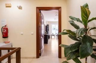 Apartamento en primera línea de playa El Palo - Málaga - 5