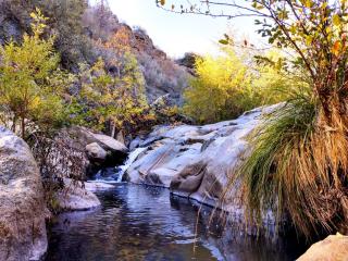 Quiet Mind Lodge, Spa & Retreat Sequoias - Kernville - 5