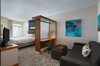 Springhill Suites by Marriott Anaheim Maingate - Anaheim - 6