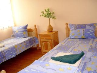 Granpa house - Ruhovtsi - 2
