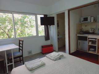 Hermoso monoambiente en ciudad de Mendoza. - Mendoza - 1