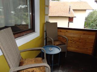Villa Ruža Apartments - Zlatibor - 1