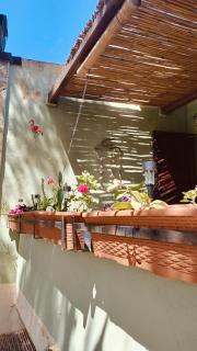 DomuNosta Pinus Village - 3