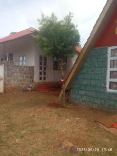 Green hut house - 8