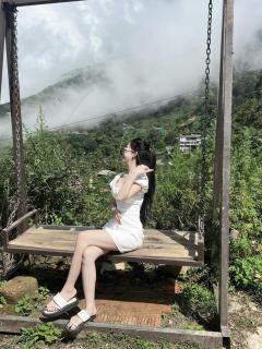 Mây House – Sống Lưng Khủng Long - 1