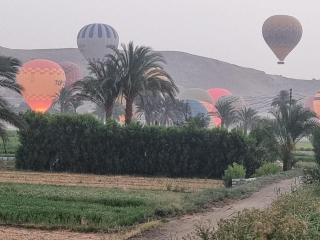New Memnon Hotel - Luxor - 5