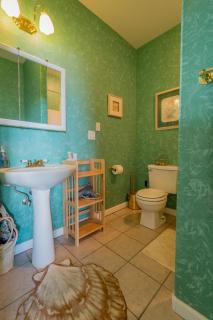 Aloha Alaska Vacation Rentals - Homer - 1