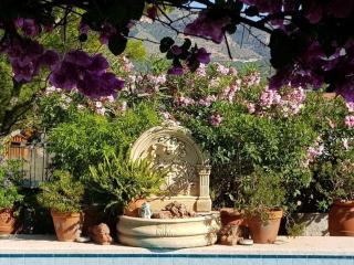 Villa Naranjo Comfortable holiday residence - L'Alfas del Pi - 7