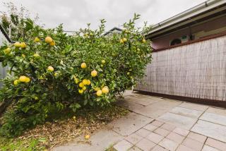 Yarraville Garden Large home with yard and parking - Yarraville - 7