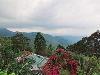 Fragrant Nature Munnar - A Five Star Classified Hotel - Munnar - 7