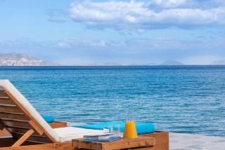 The Saronic Villa - Jungle on the sea - 9