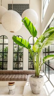 Casa Toledo 1 Bedroom Kerobokan - Seminyak - 4
