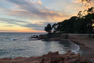 Magnifique Villa piscine jardin - Fréjus - 7