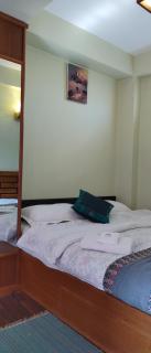 Tranquil Haven with shared kitchen access at greentara heritage home - Patan - 9