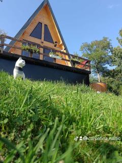 CarpatinA Rustic House - Runcu - 1