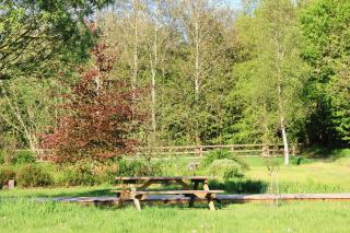 Peatlands - - 3