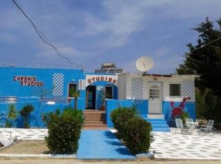 The Palm Tree Apartments - Kefalos - 2