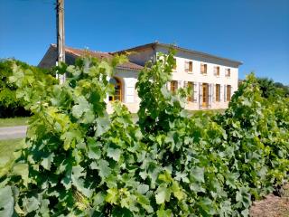 Maison familiale de charme 11 personnes dans le Médoc - Saint-Germain-dʼEsteuil - 8