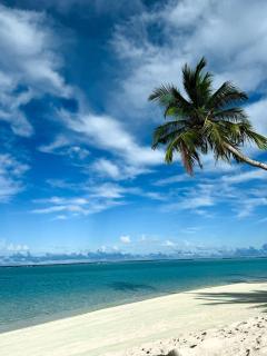 ONE SEASON THODDOO - 7