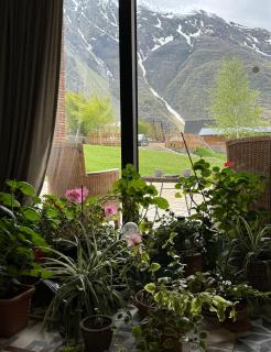 Green Sheep Boutique Hotel - Kazbegi - 9