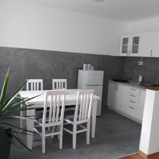 Apartment Holiday - Vrnjačka Banja - 1
