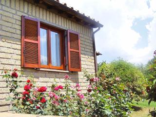 Montecasciano - Primula - 3