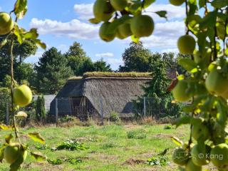 Chaumière à l'étang des anémones - Sainte-Hélène-Bondeville - 1