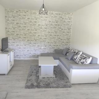 Vila Obradovic - Arilje - 8