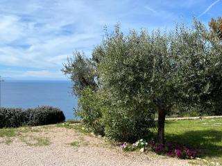 Stella d'Argento - Porto Santo Stefano - 5