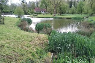 Gîte à la campagne avec étang de pêche - - 0