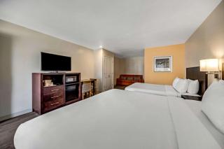 Comfort Inn Boardwalk - Santa Cruz - 7
