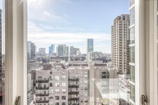 South Loop studio w pool gym nr Grant Park CHI-856 - Chicago - 9