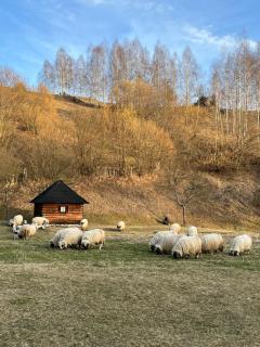 Rai Village - Băniţa - 0