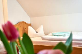 Haus Strandeck - Zingst - 2