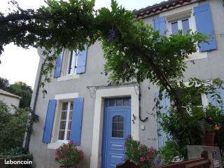 La Maison Bleue, nid chaleureux en bord de rivière - Rennes-les-Bains - 4