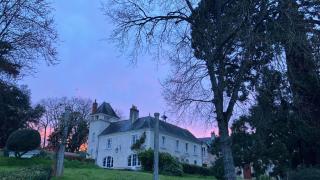 Magnifique maison de maître saumuroise - Saumur - 8
