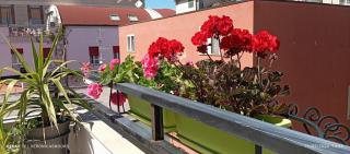 La Terrazzina - Pescara - 9
