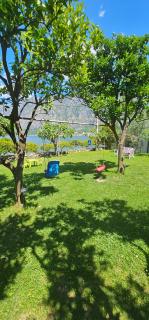 Apartments Popovic - Kotor - 3
