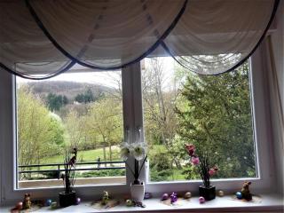 Fewo Bad Kissingen - Bad Kissingen - 3