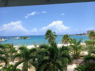 Ninth River Ocho Rios - 9