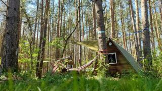 WaldCamp mit kleinen Hütten und Caravans in Cottbus Natur Pur - Cottbus - 7