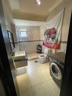 Comfortable Sunny apart 16 mins from Airport - 1